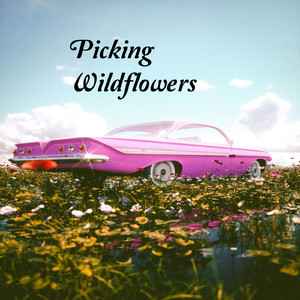 Picking Wildflowers