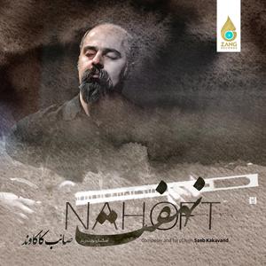 Nahoft