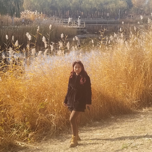 谁在意我流下的泪