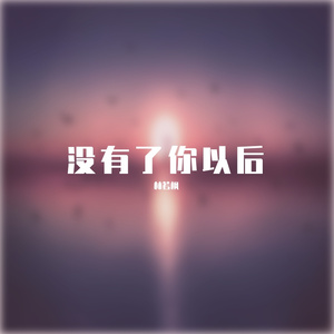 没有了你以后
