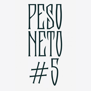 Peso Neto V