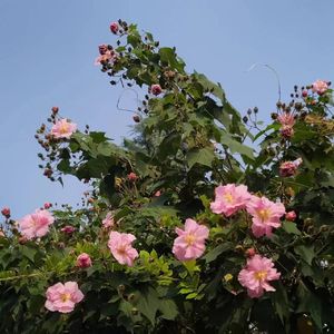 旅行的意义(TRAVELISMEANINGFUL)