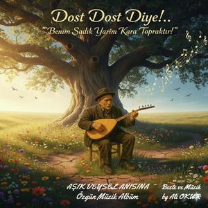 Dost Dost Diye! Benim Sadık Yarim Kara Topraktır! Türkçe Özgün Müzik No DK IX