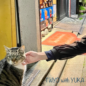 雨よ降るな (セルフカバー)