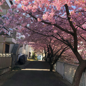 学会给自己撑伞
