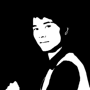 让黑鸟飞一会儿