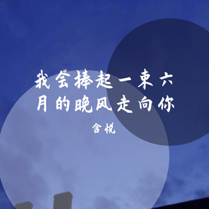 我会捧起一束六月的晚风走向你