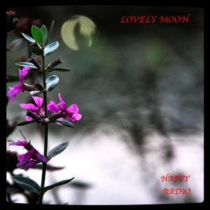 Lovely Moon