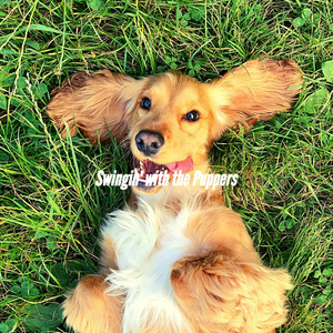 Smooth Music for Brunch with Dogs