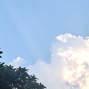 飞向远方
