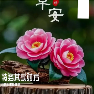 时光的答案