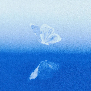 天使的翅膀（温柔女声版）