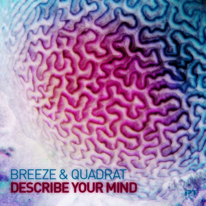 Describe Your Mind (Sean McClellan Remix)