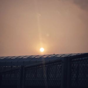 Dream