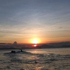 一片虾咪在玉壶