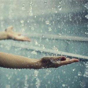 杏花雨 (剪辑版)