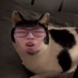 有个简单的问题，什么是牛逼(马牛逼)