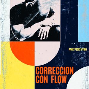 Correccion con Flow
