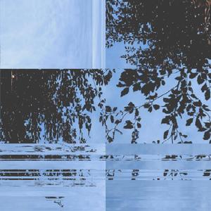 cygnus garden