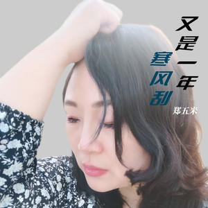 又是一年寒风刮