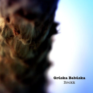 Brokk