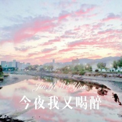 今夜我又喝醉 (Remix)