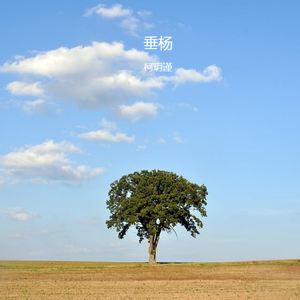 垂杨 伴奏