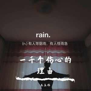 一千个伤心的理由(改编版)