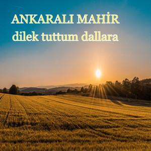 Dilek Tuttum Dallara