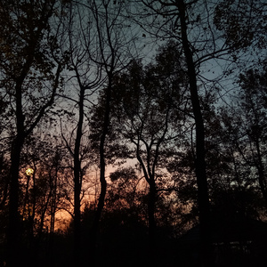 你的轮廓（Original Mix）