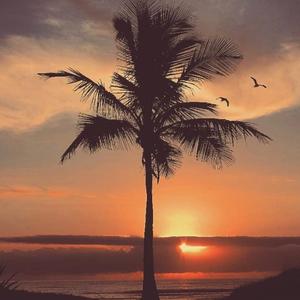 爱意随风起风止意难平（抖音热搜版）（江仙 / 娜娜 remix）