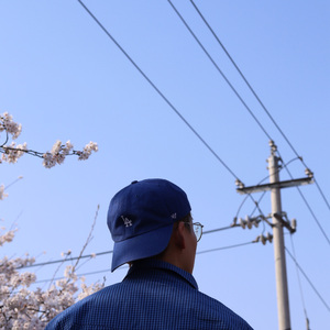 让我和这座城市单独相处