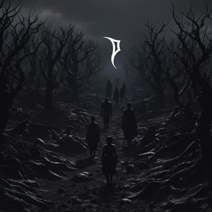 Where Shadows Rule