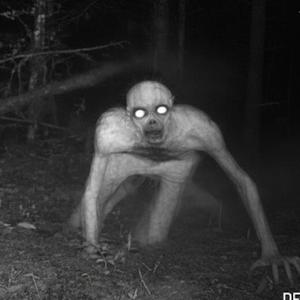 SKINWALKER