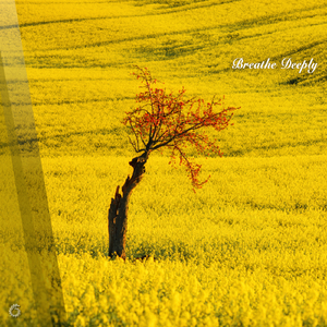 Outlining (Original Mix)