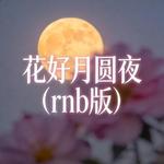 花好月圆夜 (R&B版) - 煎妮. 专辑封面