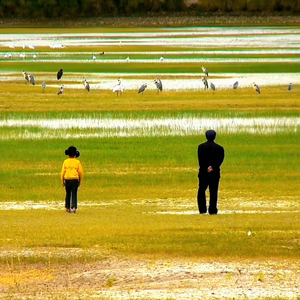 告诉他们我乘白鹤去了