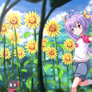 久石让-【喵帕斯】summer（JeyDeng Remix）