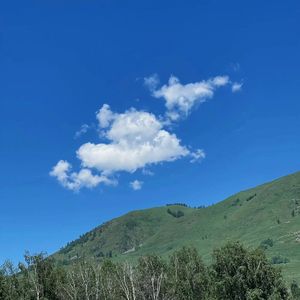 Free Beat 半壁江山 