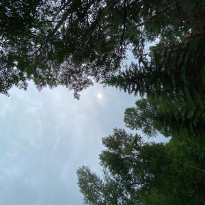 Glass House (feat. Billy Macadamia & Bello)