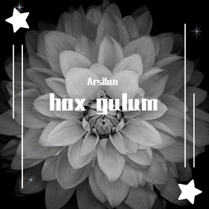 白百依-hox gulum（Arsilan remix）
