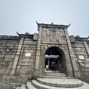 《被好奇搅乱的思绪》