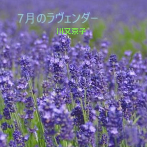 7月のラヴェンダー