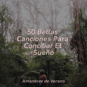 Oda Dorada al Anochecer