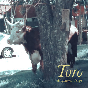 Toro
