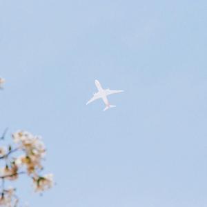 其实我...（翻自 Serrini樹妮妮）