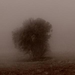 sen bana dayanamazsın