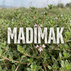 Madımak