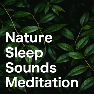 熟睡ギターBGM 睡眠の質を高めるヒーリング音楽 (自律神経を整える睡眠用 森 鳥)