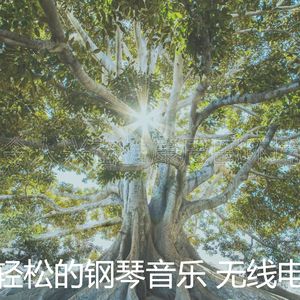 一尘不染心情印象数